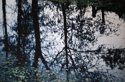 Georges Mesmin photographie reflets dans l'eau